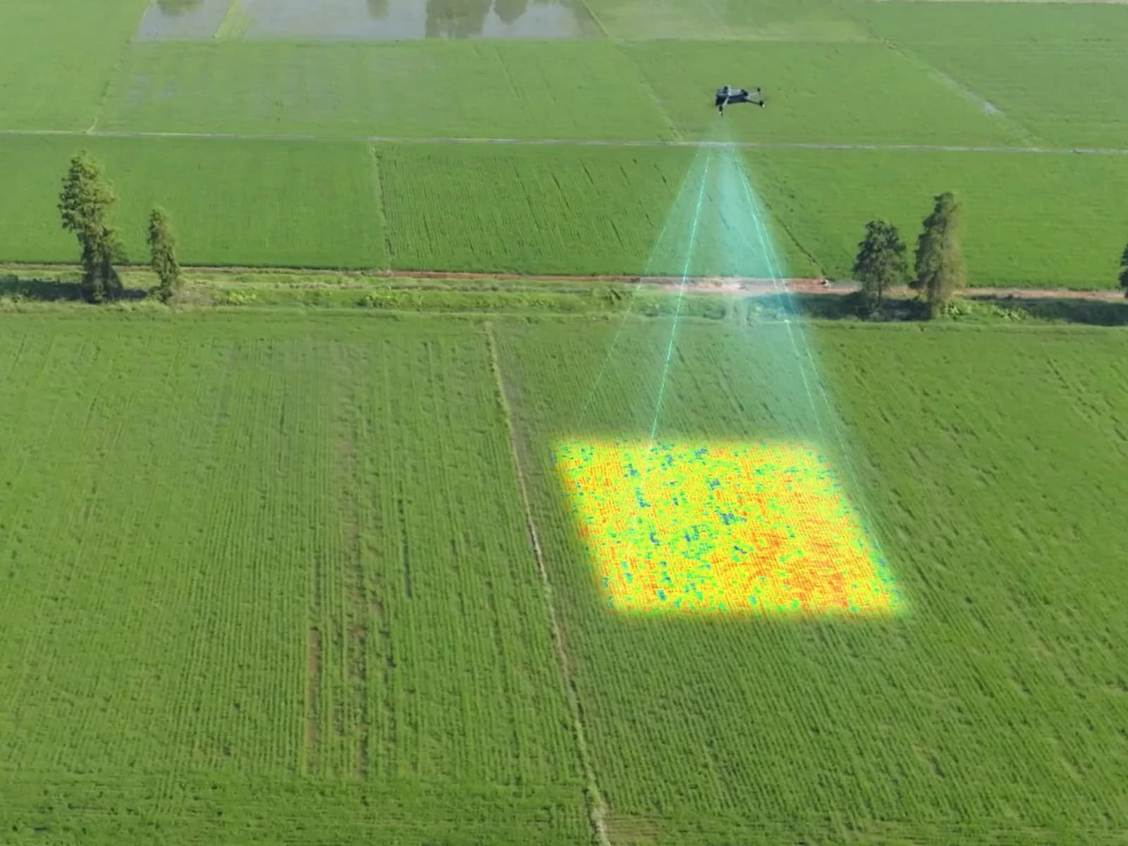 DJI Mavic 3M cartographiant une parcelle agricole, zone analysée surlignée